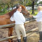 Cuidando de los caballos antes de que lleguen ellos