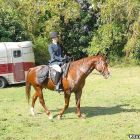 Equinoterápia sexual en las cuadras de los caballos