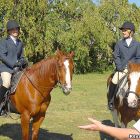 Equinoterápia sexual en las cuadras de los caballos