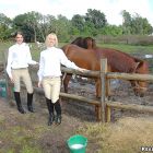 Equinoterápia sexual en las cuadras de los caballos